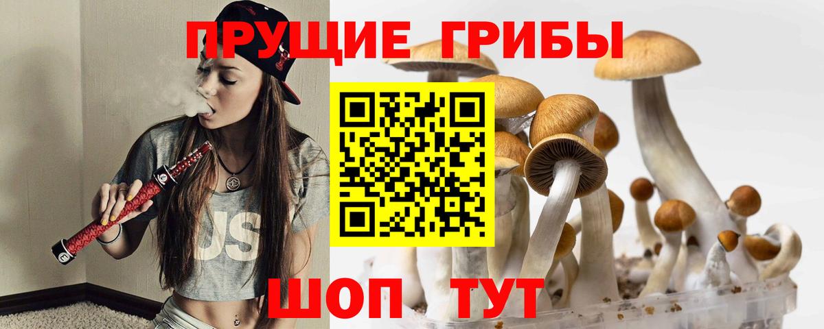 Калач-на-Дону  Галлюциногенные грибы Psilocybine cubensis  Вход с VPN  Галлюциногенные грибы мухоморы 