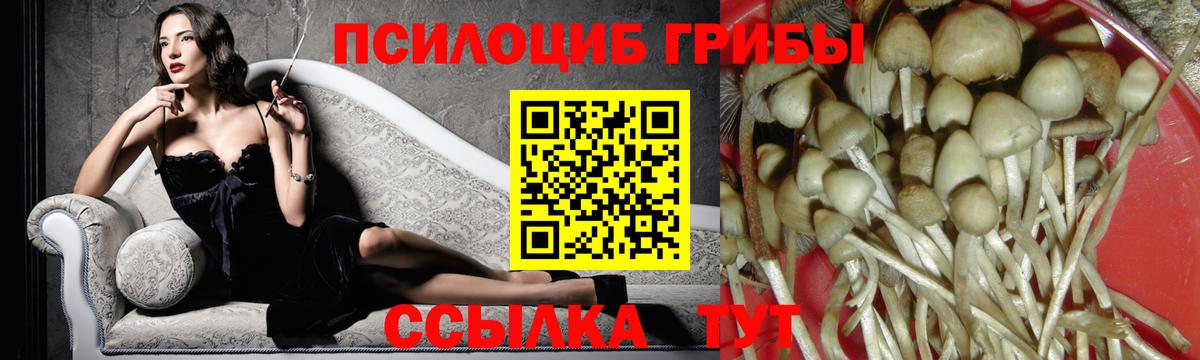 Псилоцибиновые грибы мицелий Калач-на-Дону
